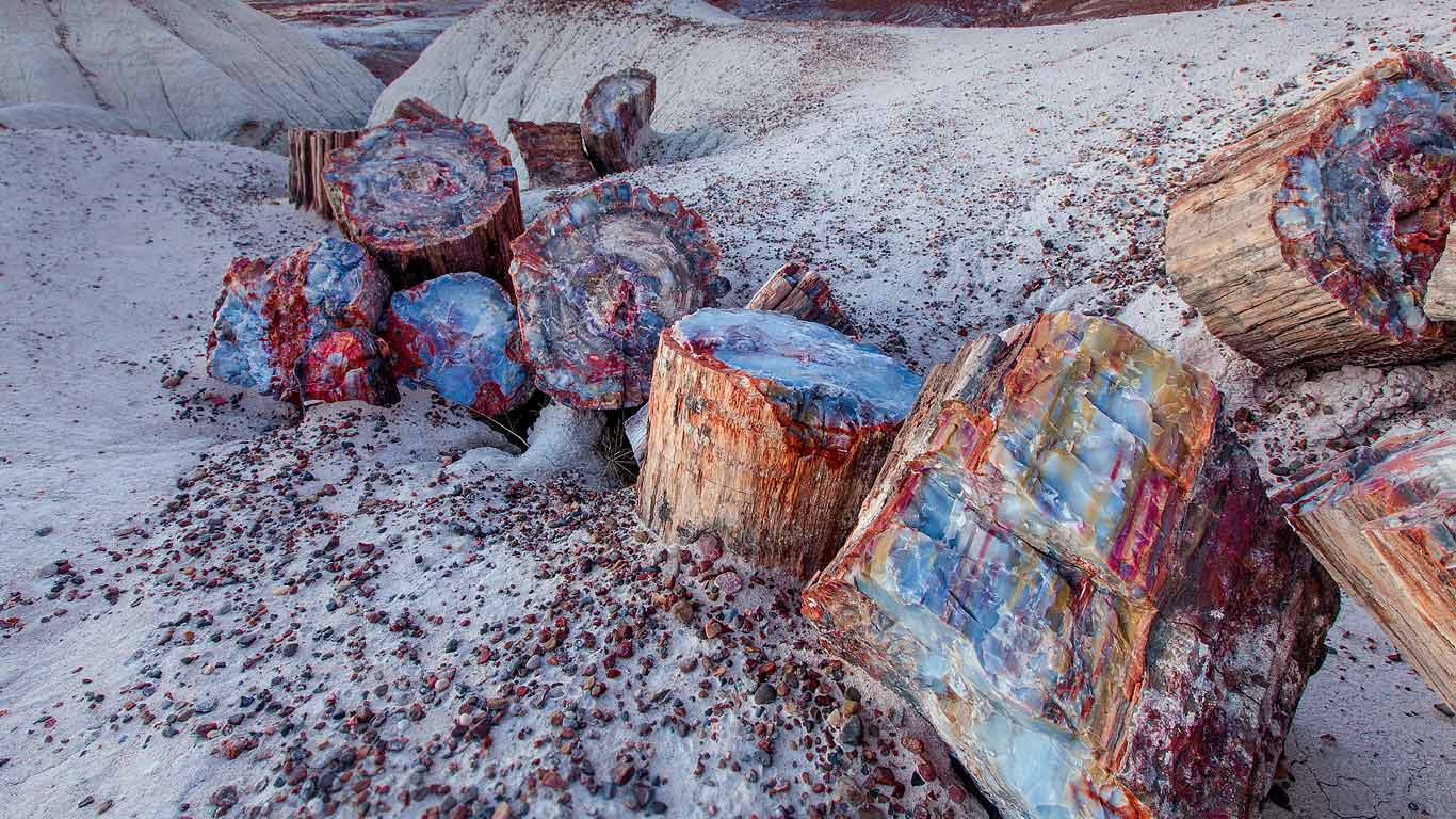 美国亚利桑那州 石化森林国家公园中的木化石 笨翁网