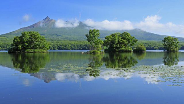 伊吹山车道上的秋景,日本滋贺县米原市 - 必图网