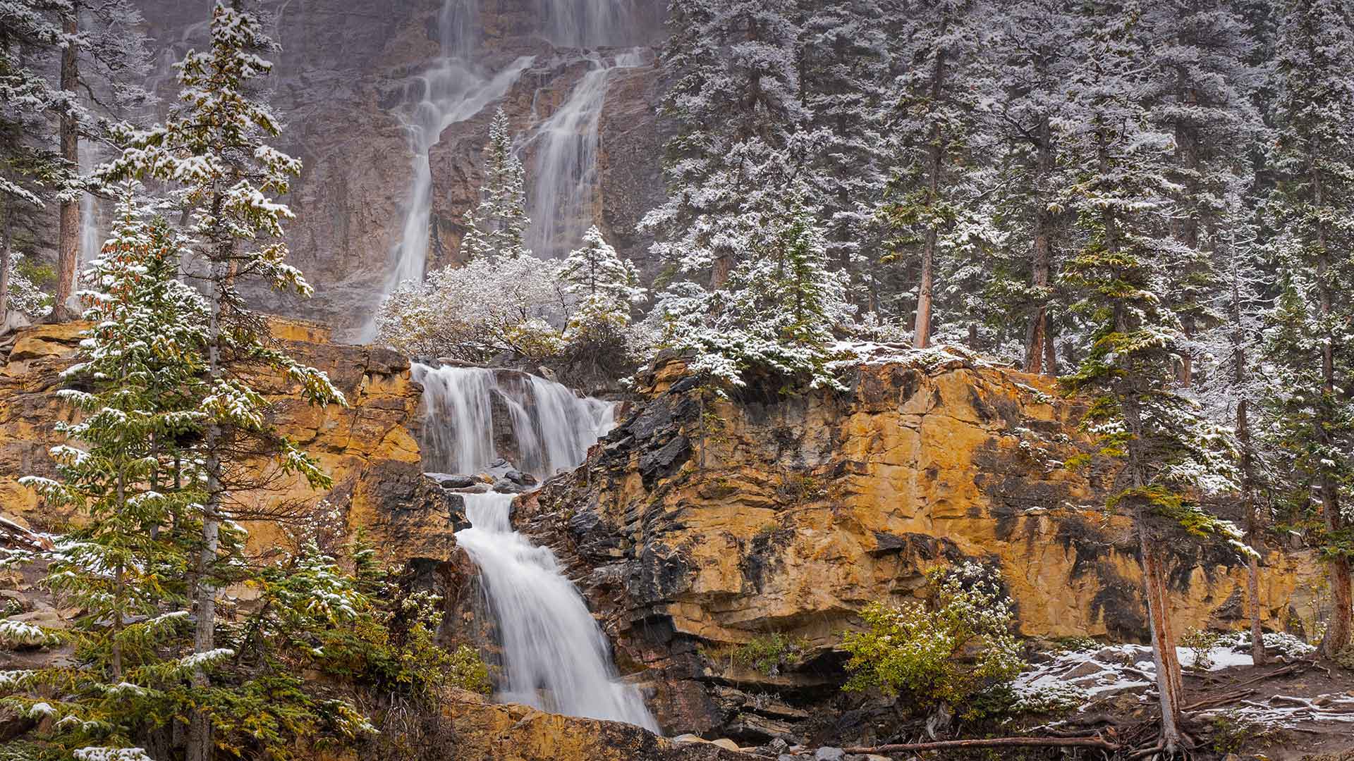 贾斯珀国家公园纠结溪瀑布，阿尔伯塔省，加拿大